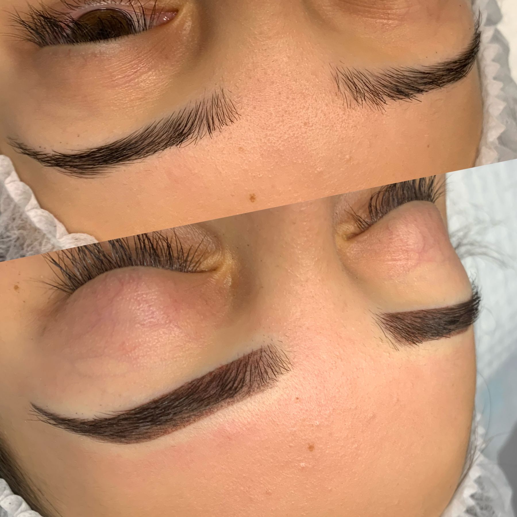 Whats the Difference Between Microblading vs Powder Brows